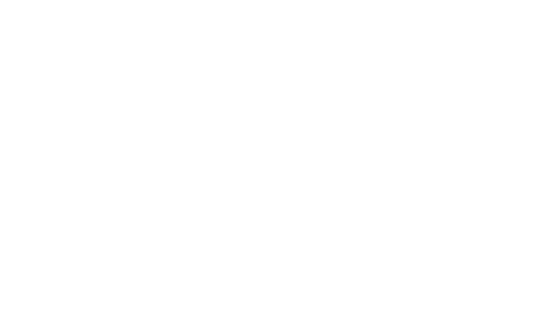 logo-de-zwaan-hotel-restaurant-raalte